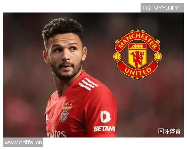 凯恩解约金条款曝光6500万欧元冬窗才能激活